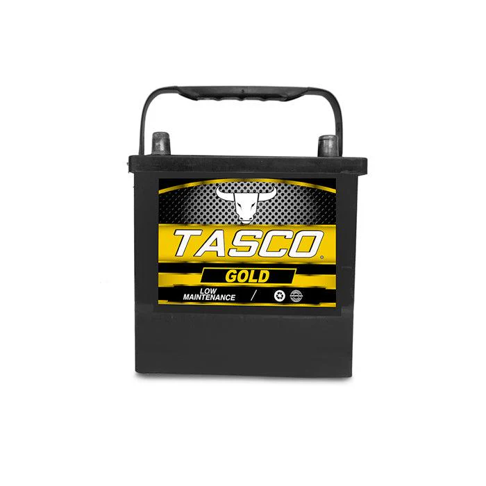 BATERIA PLASTICA NS40G-P  TASCO