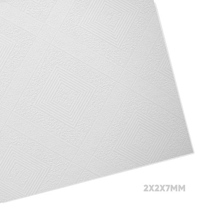 PANATEX CIELO RASO YESO MAGNOLIA 244 2X2X7MM
